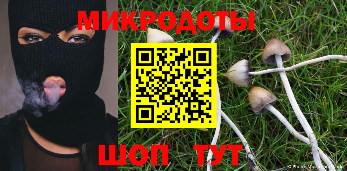 Кизилюрт  Галлюциногенные грибы MAGIC MUSHROOMS  Вход с VPN 